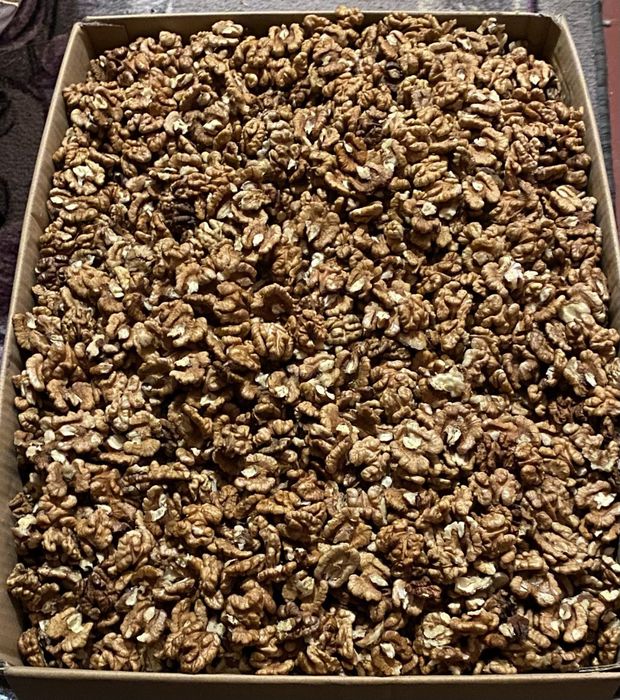 Горіх волоський 25-року метелик і четверть