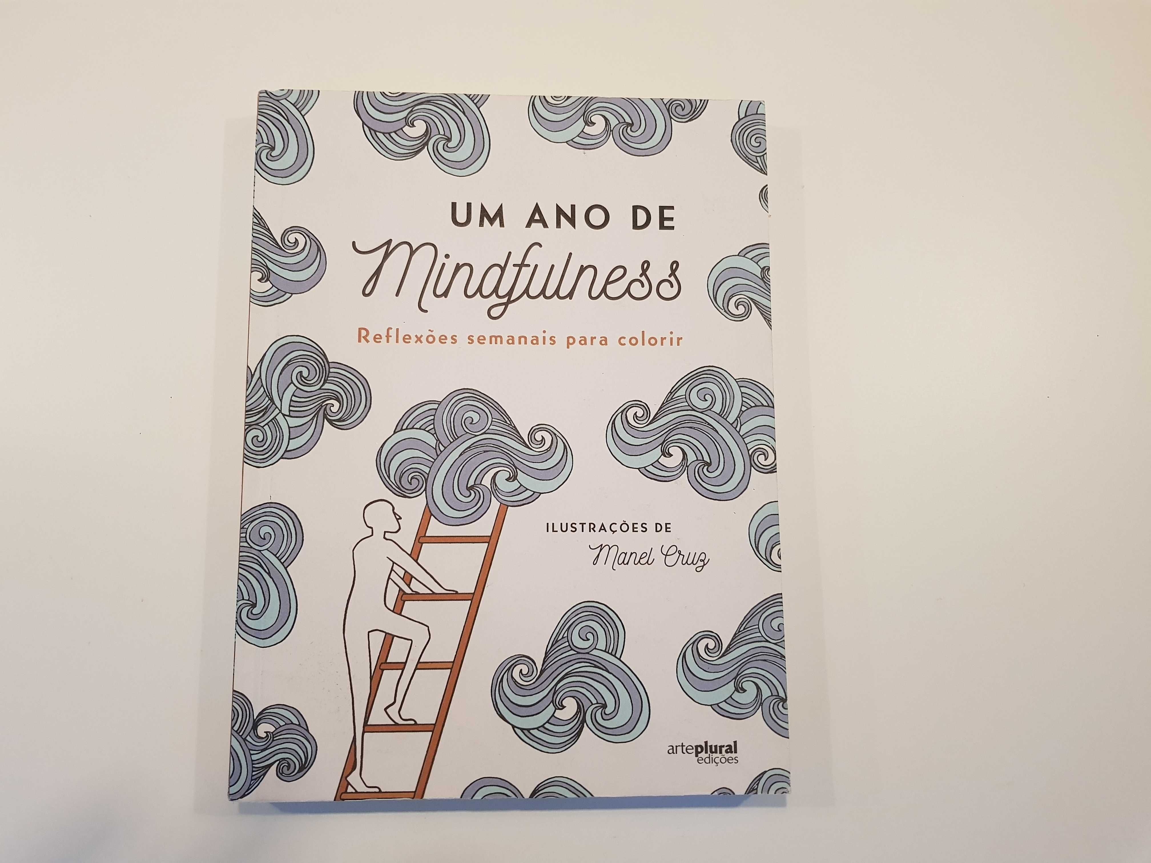 Livro mindfulness para colorir novo