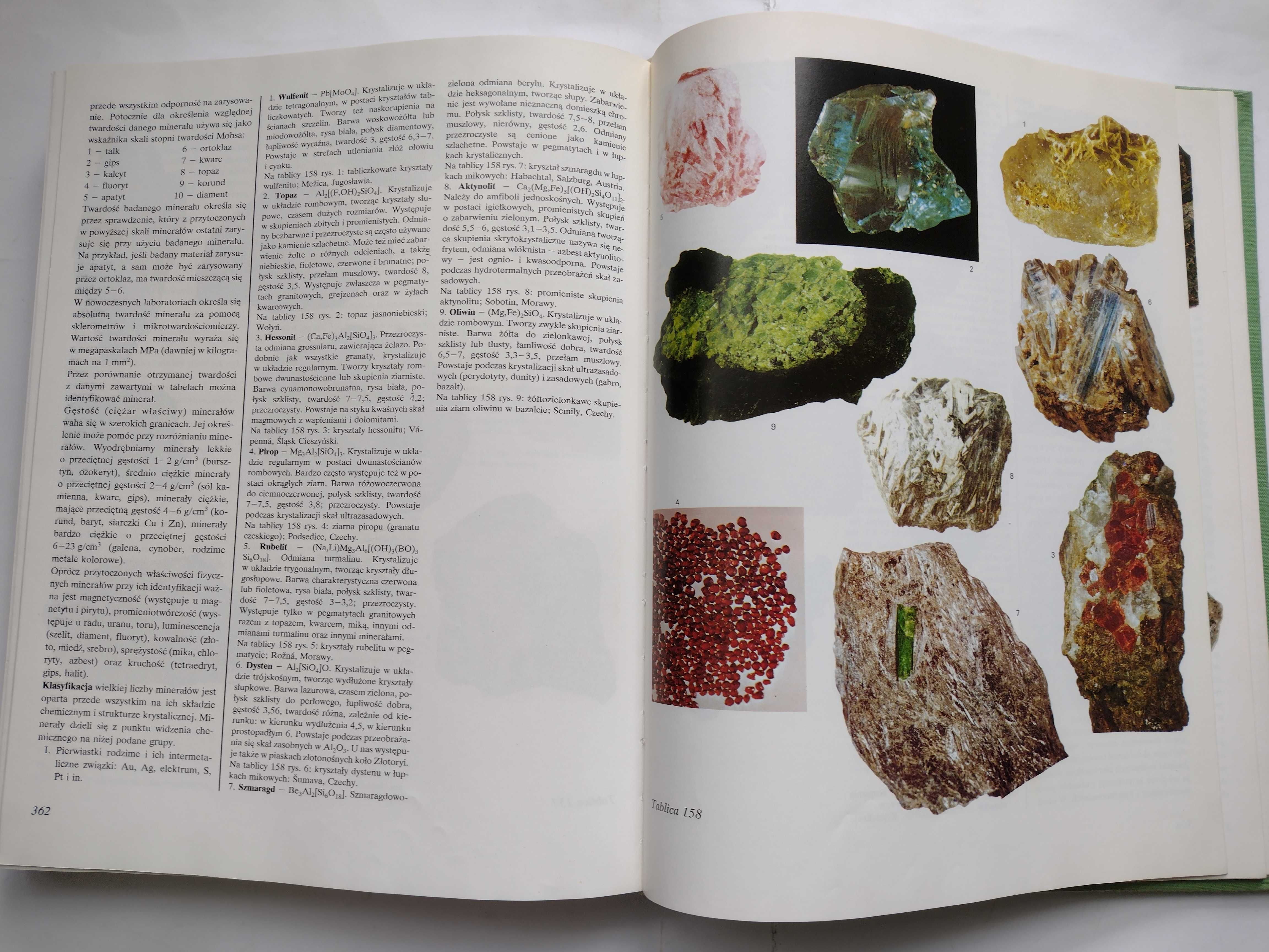 Świat Roślin Skał i Minerałów - 1990 r