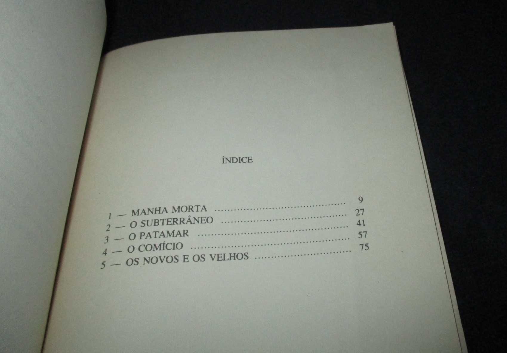Livro 5 Caprichos Teatrais José Gomes Ferreira 1ª edição 1978