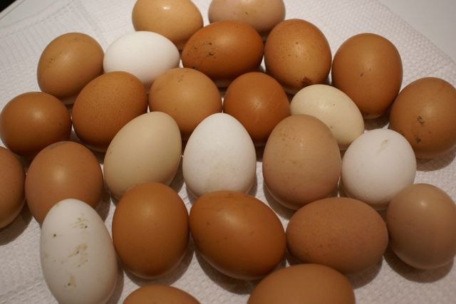 Продам домашні крупні яйця