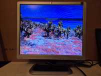 Monitor LCD, HP L1910 19 polegadas