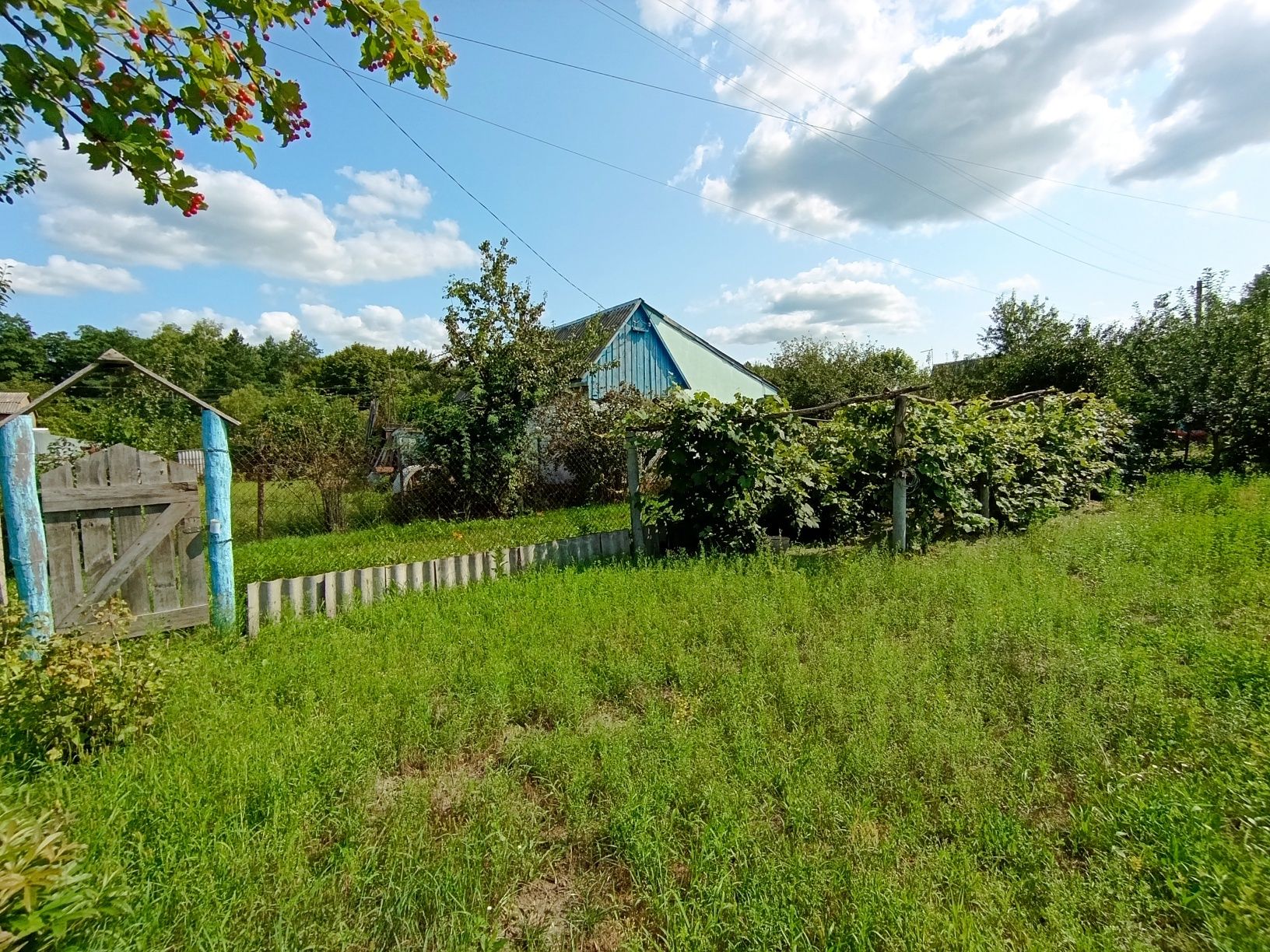 с. Пороскотень, Клавдієво, Бучанский р-н, 6 соток