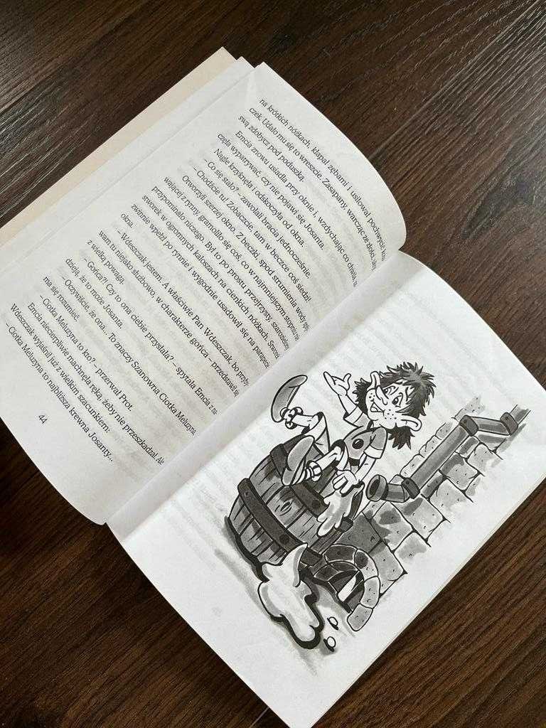 Książka dla dzieci Jak oswoić czarownicę - Wiera Badalska, Siedmioróg