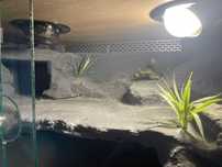 Terrarium 90x45x50