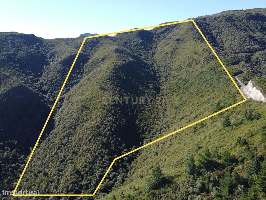 Terreno Laurissilva - Santana