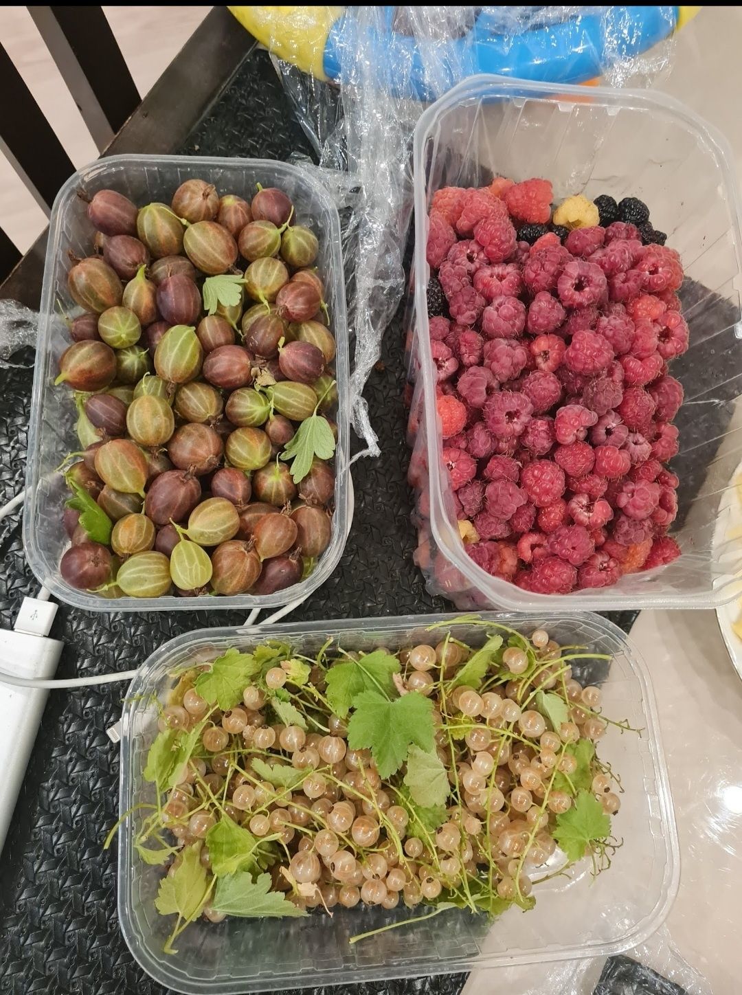 Продам ежевику, малину, смородину, йошту, крыжовник, годжи.