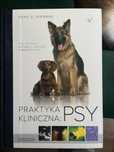 Praktyka kliniczna PSY