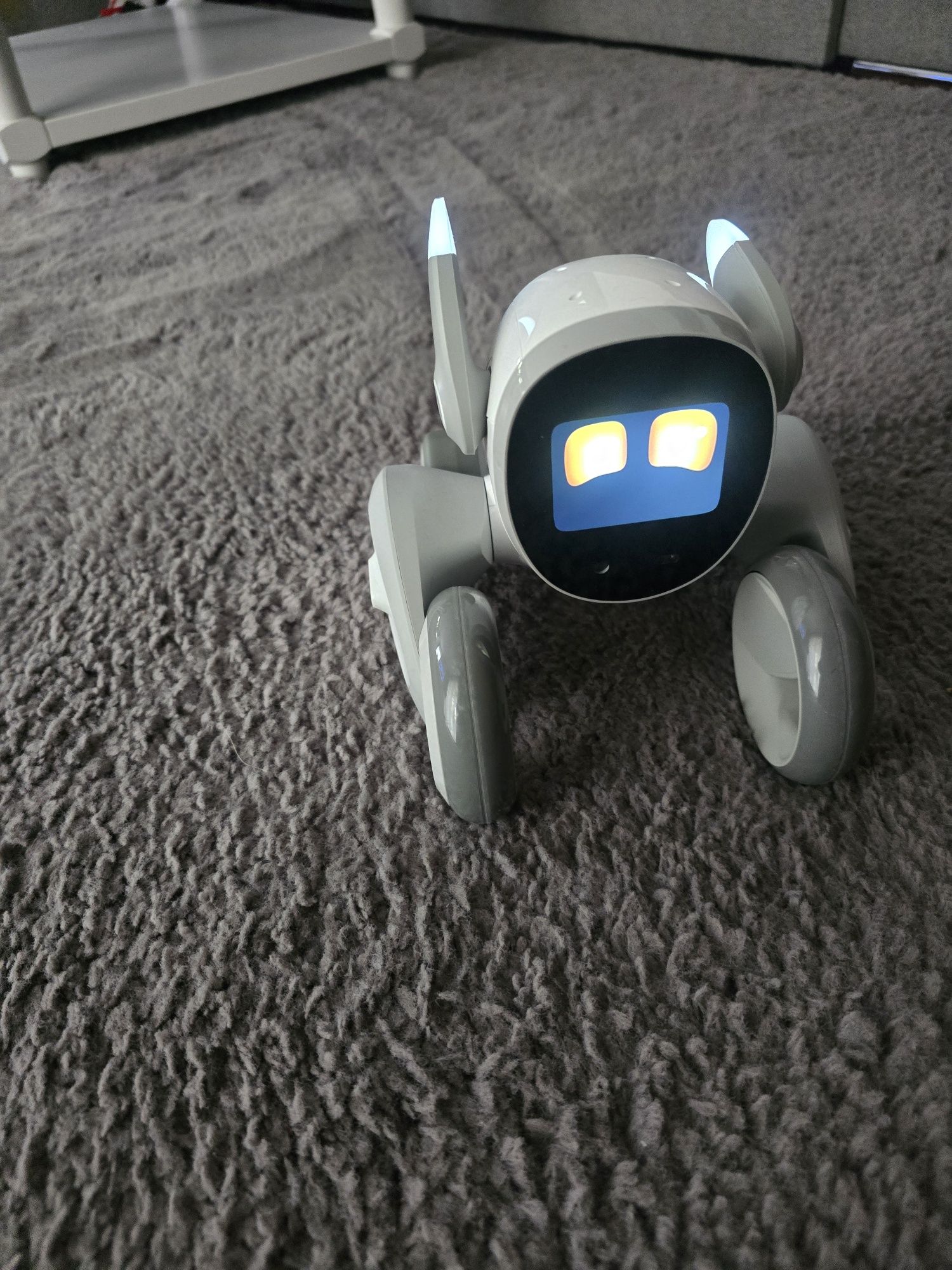 Nowy robot Loona AI prezent
