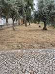 Vende-se excelente terreno para construção