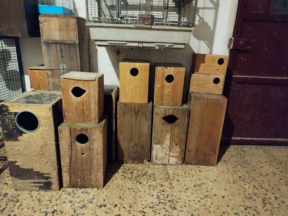 Ninhos de madeira