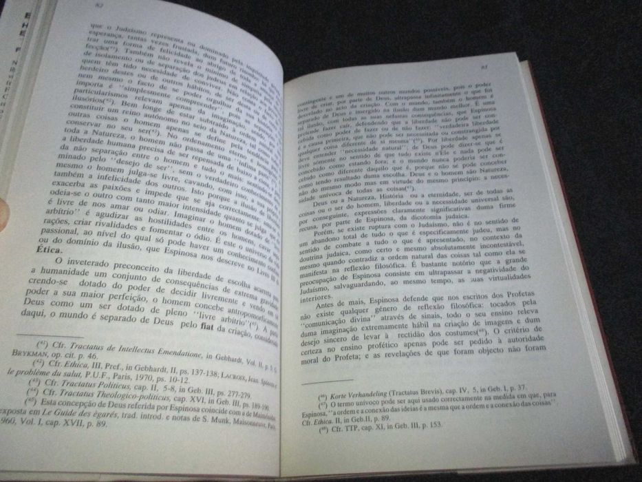 Livro Espinosa História Salvação e Comunidade