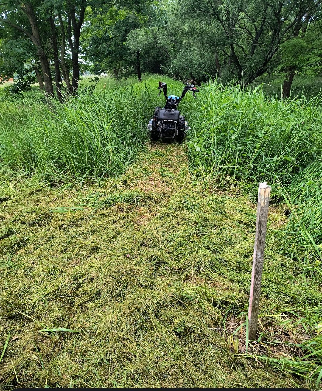 Koszenie, mulczowanie kosiarką bijakową.