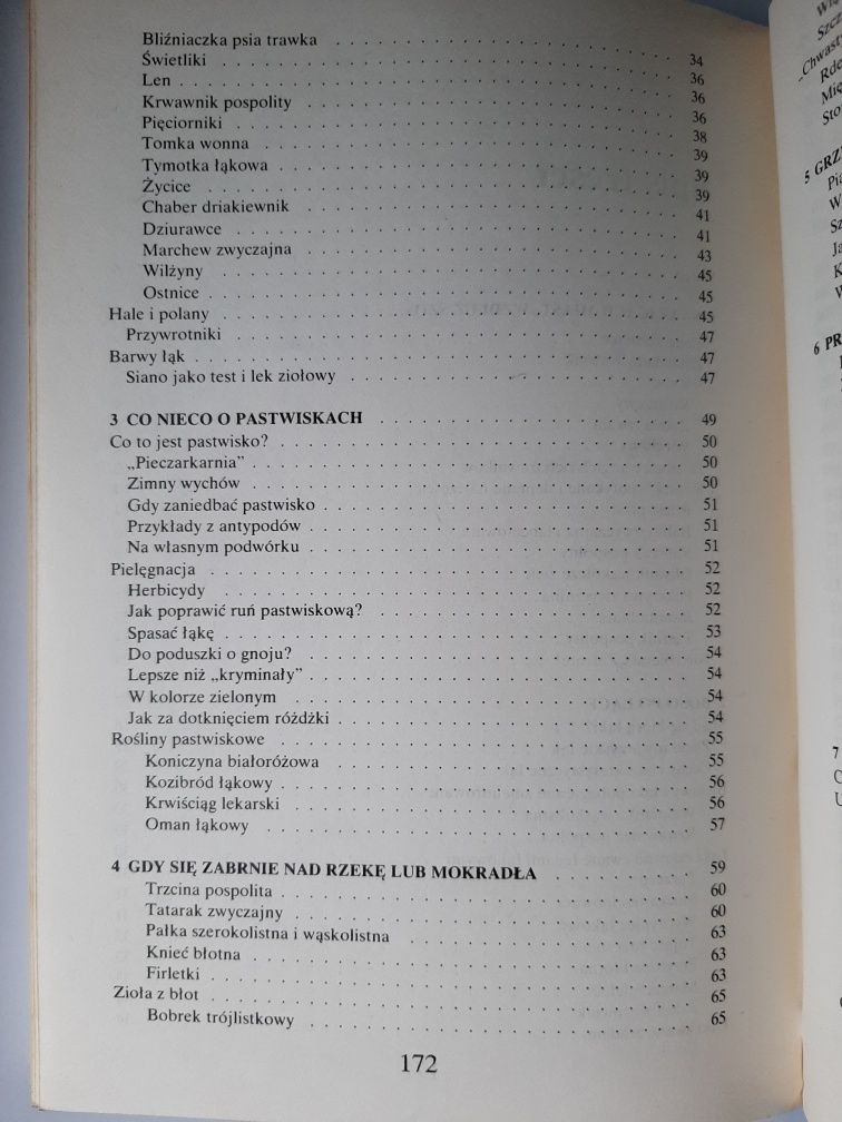 Deptane po drodze Irena Gumowska