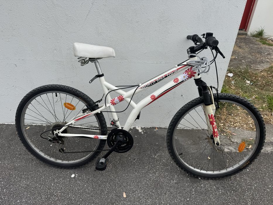 Bicicleta Adulto
