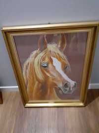 Obraz portret konia