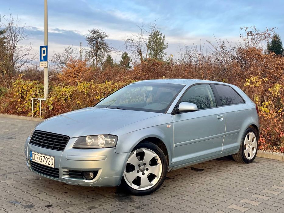 Audi A3 8P 1.9TDI // Alu // Skora // Szyber // Nowy Dwumas // Super