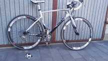 Giant  Defy szosowy roz. M/L