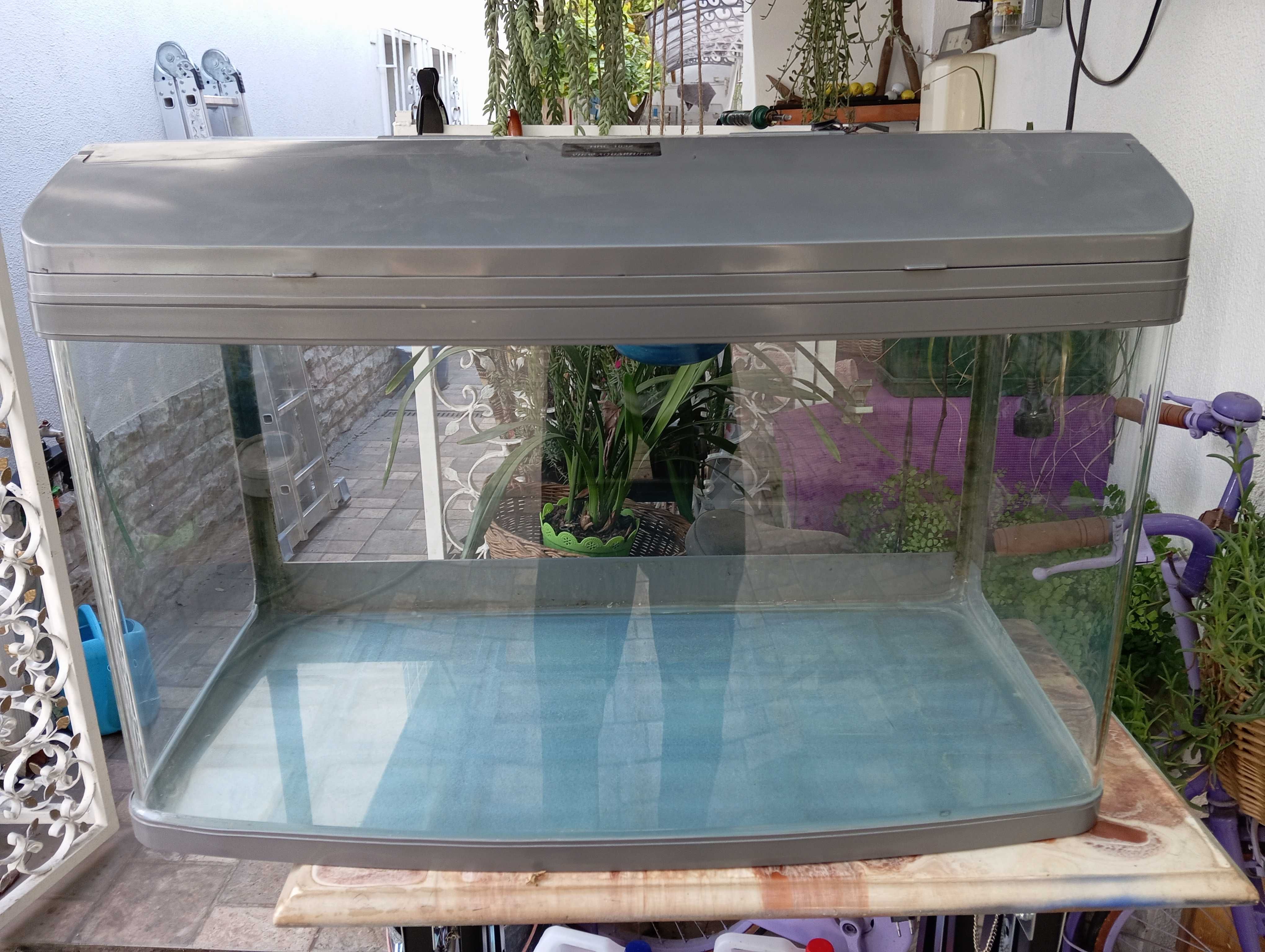 Aquario completo