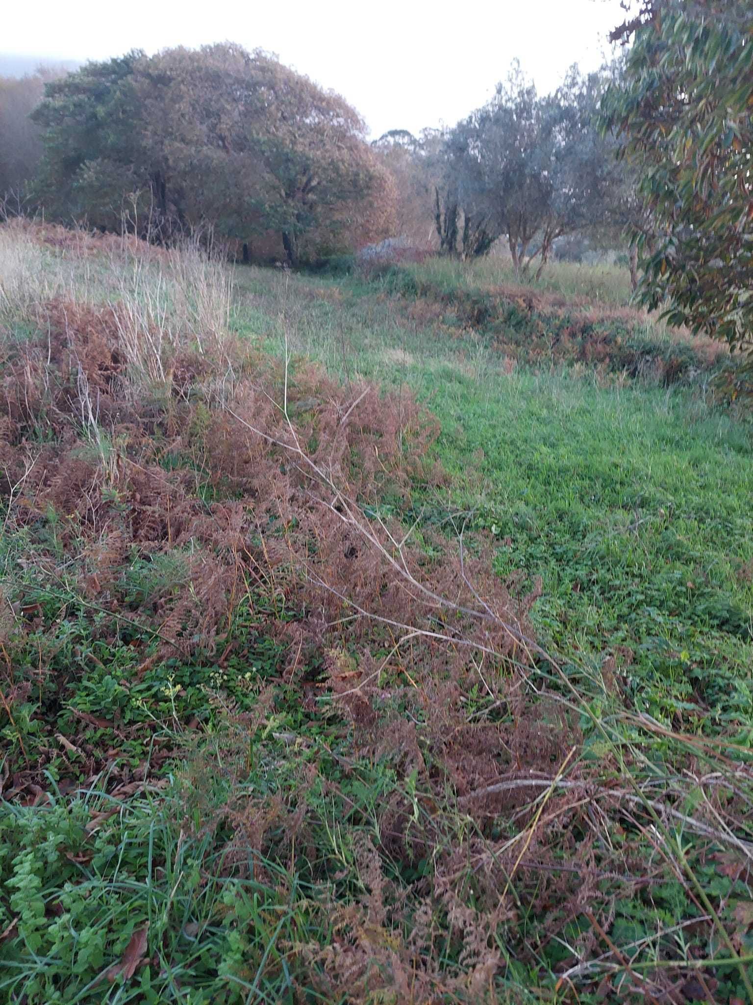 Terreno agrícola