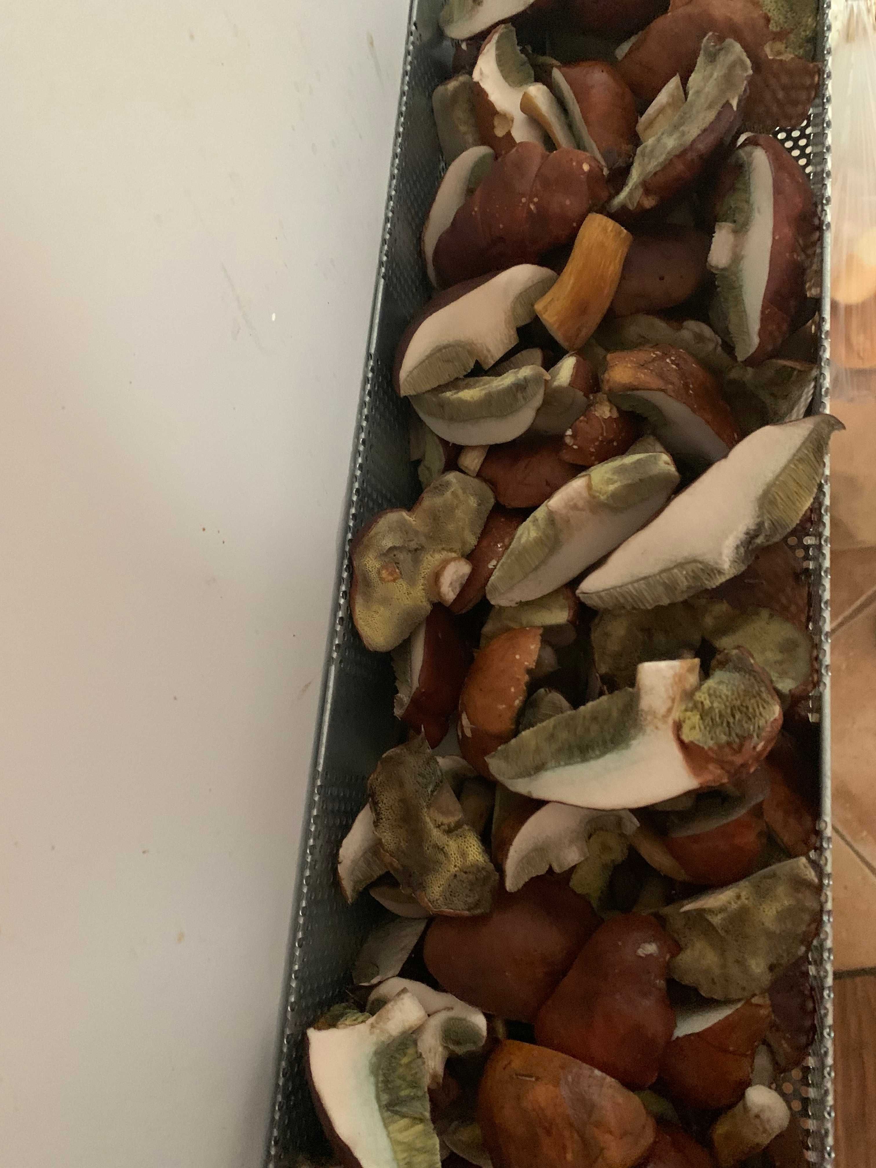 Grzyby suszone - podgrzybki 2024 - pakowane w woreczku po 600 g
