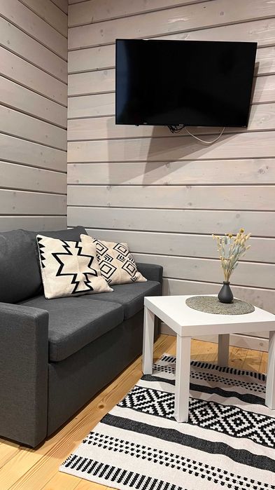 СУЧАСНИЙ БУДИНОК, відпочинок В КАРПАТАХ біля річки та лісу, зал 30м2