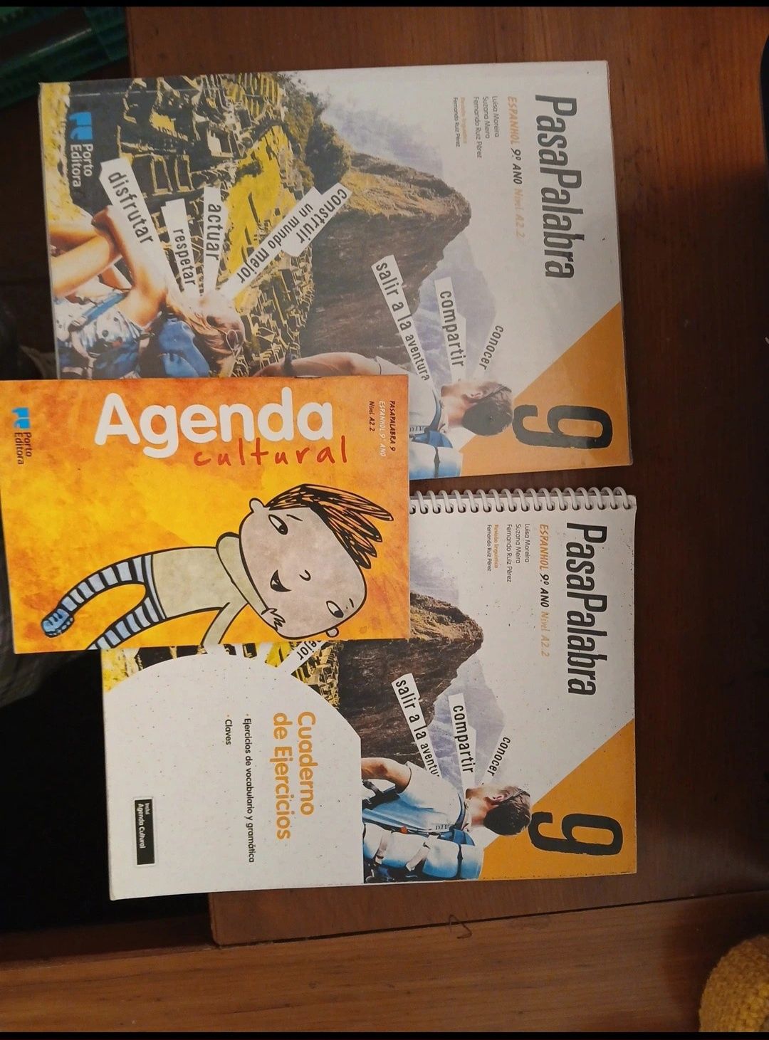 Manual e cadernos de fichas de espanhol  9°ano nível A2.2 "PassaPalabr
