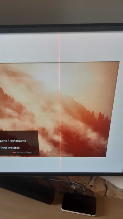 Telewizor oled LG 55BX