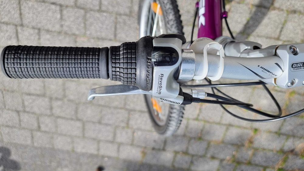 Rower 24'' Trek MT220