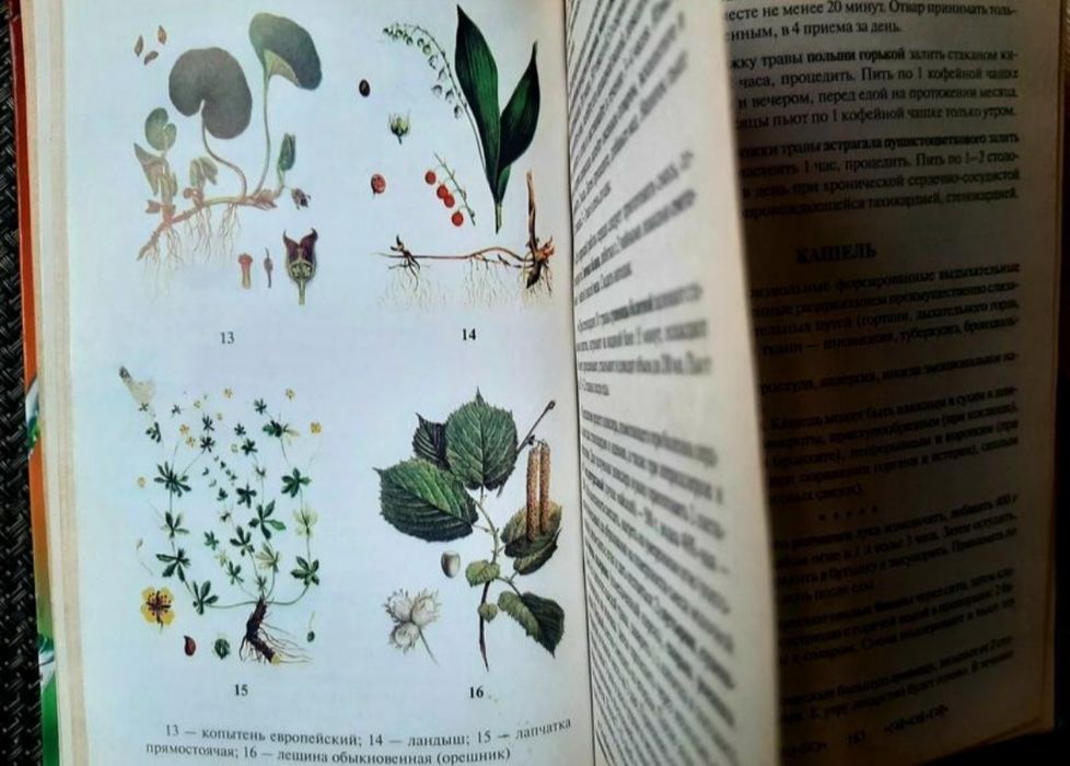 Великий довідник народної медицини, російською