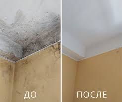 Удаление плесени , ( грибка ) неприятных запахов Дезинфекция