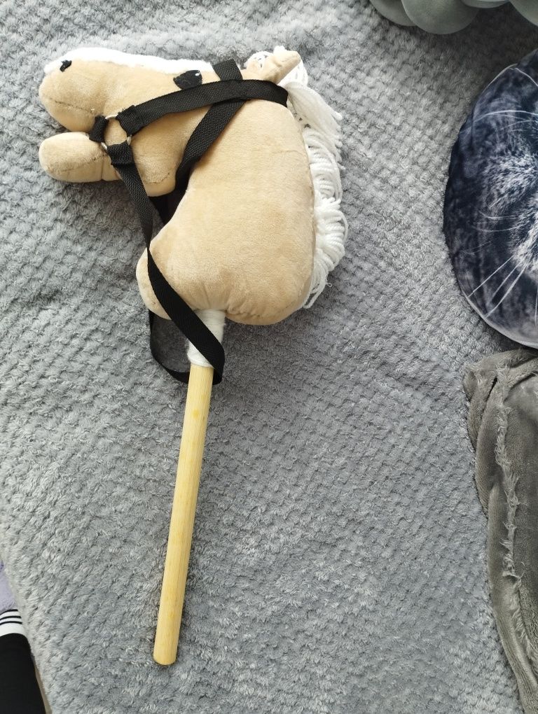 Konik Hobby Horse
