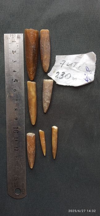 Белемнит Чертов палец зуб дракона