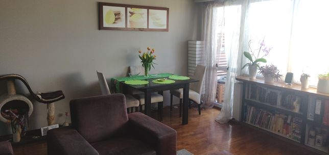 Komfortowe mieszkanie I 2 pok. z kuchnią i balkonem I 48,6 m2 I Skarpa