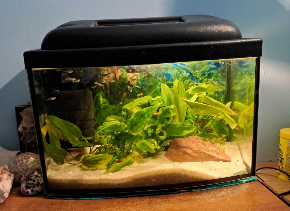 Duże akwarium z pokrywą 120 litrów 34x40x80 cm.