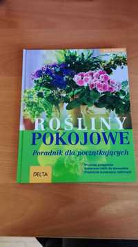 Rośliny pokojowe - poradnik dla początkujących