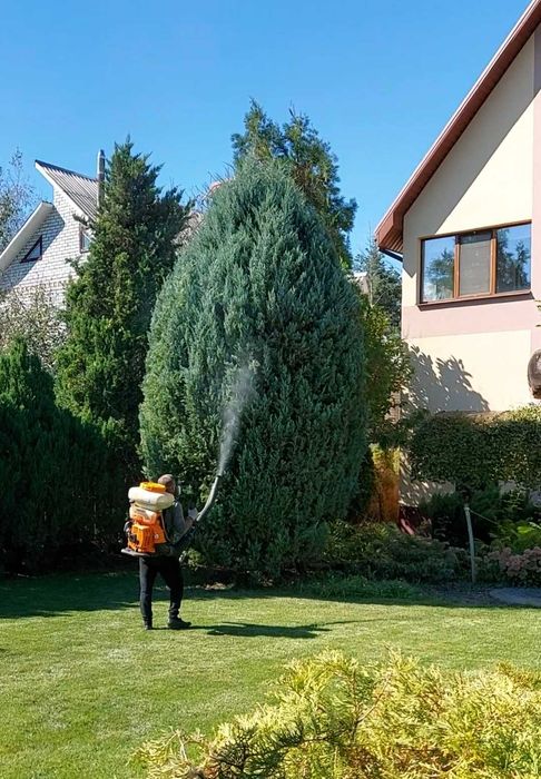 Обрезка сада, формирование деревьев, Обработка от вредителей