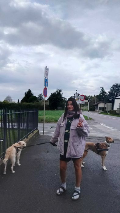 Pet-Boarding. Estadia familiar. Perssitting supervisão todo o dia