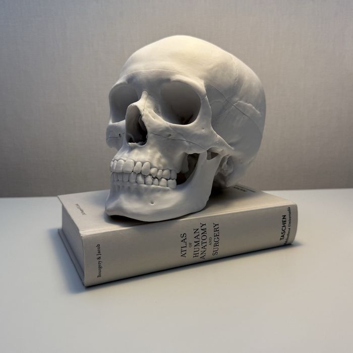 Czaszka Model Anatomiczny Tomografia Druk 3D