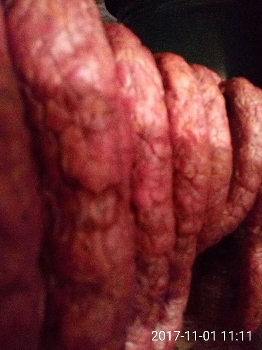 Produkty ekologiczne z własnego ogrodu itp chleb domowy