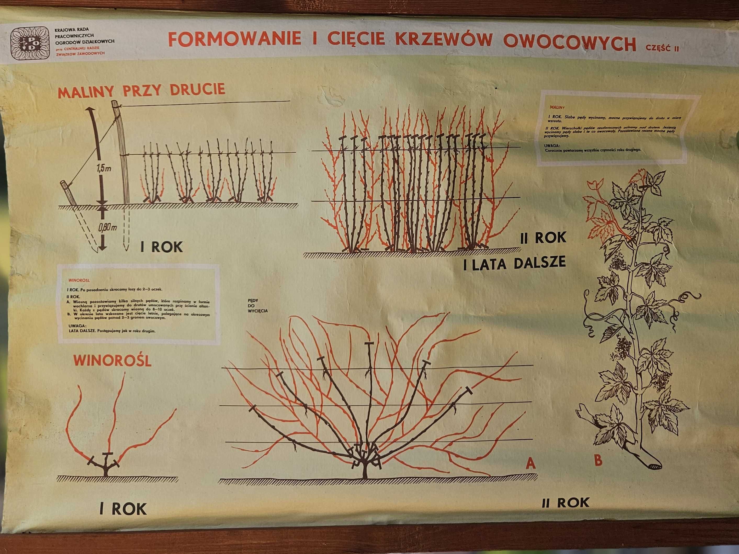 Tablica instruktażowa ogrodnicza