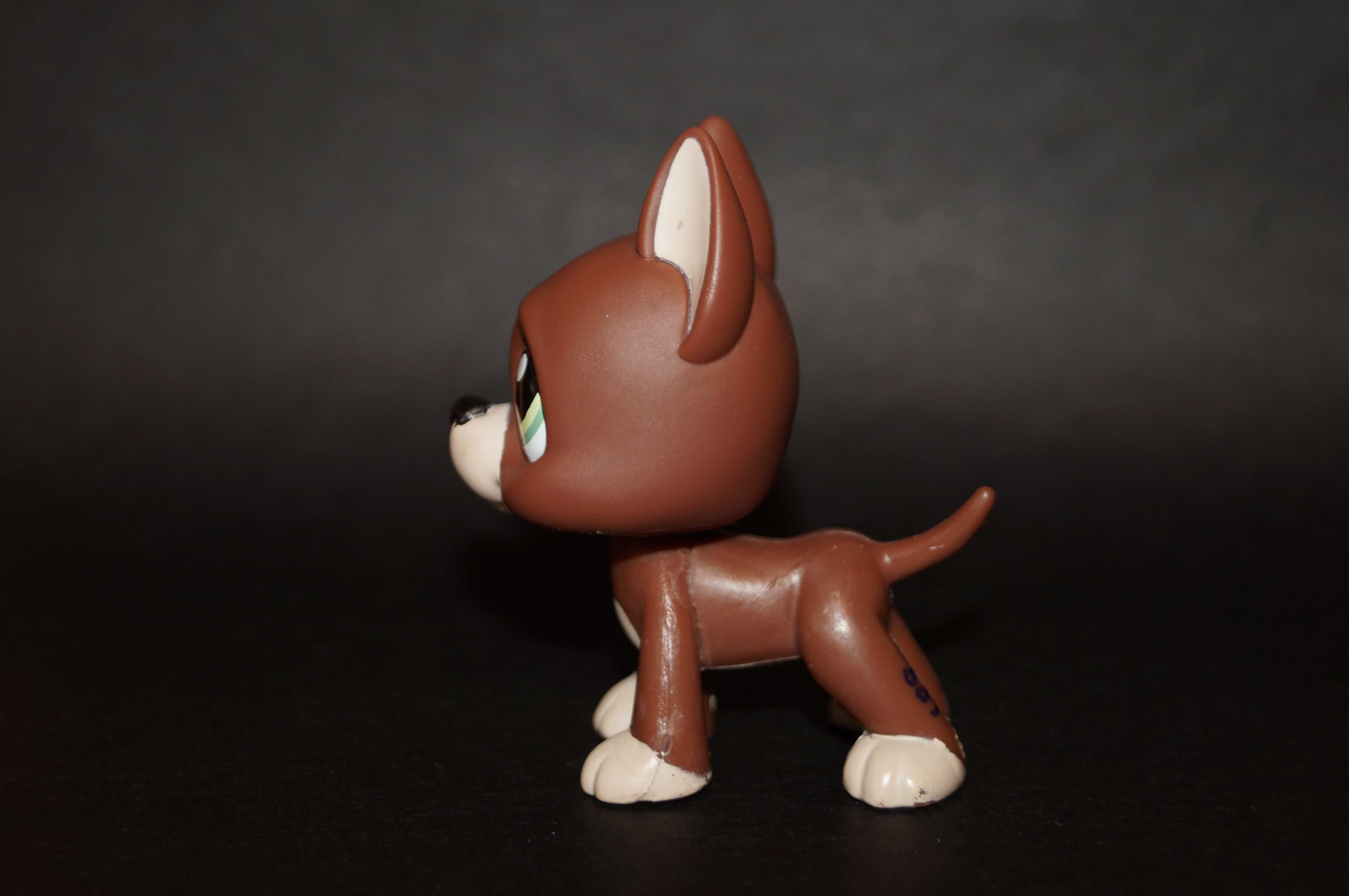 Littlest Pet Shop #1519 dog oryginalny LPS pop oryginał 100% Logan