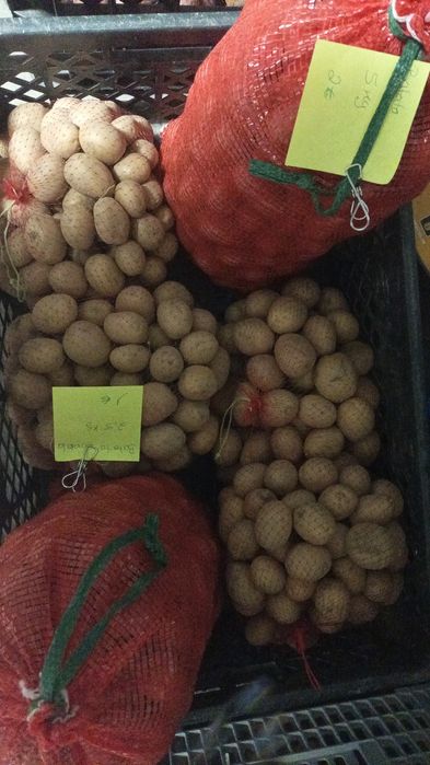 Agricultura produtor