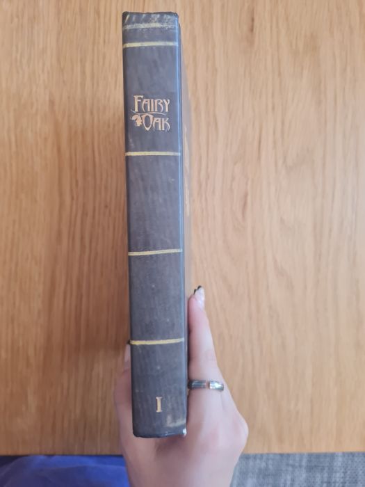 Fairy Oak: o segredo das gémeas