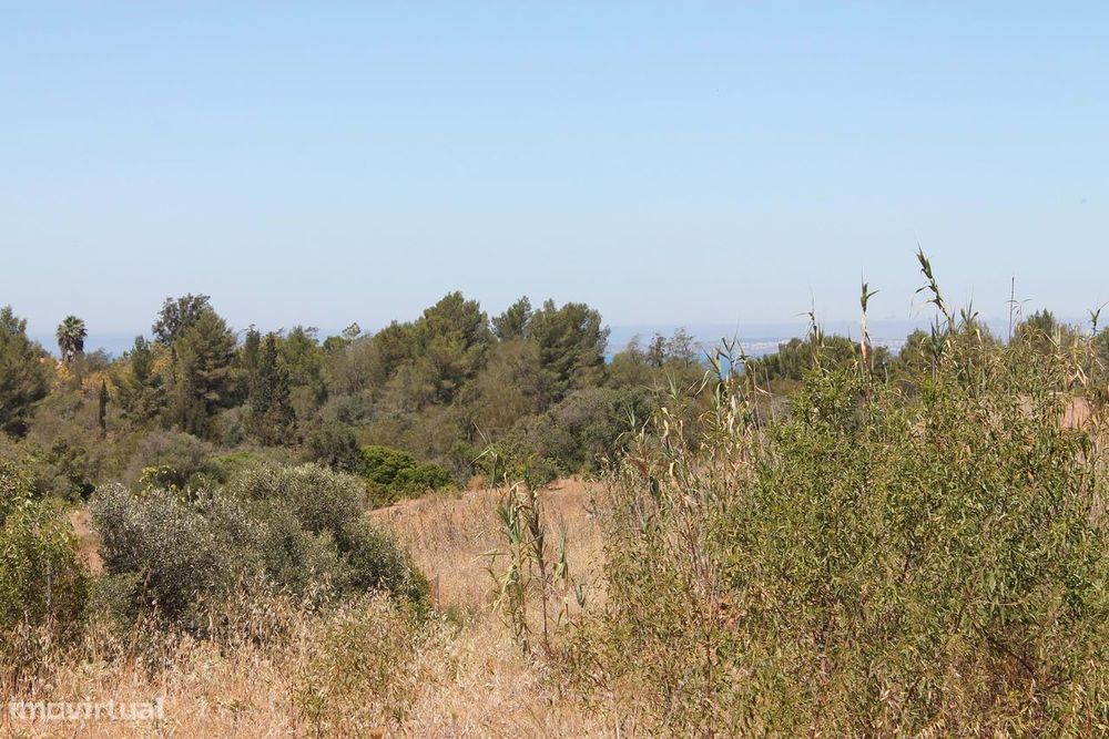 Terreno de Estombar com projeto para Turismo Rural