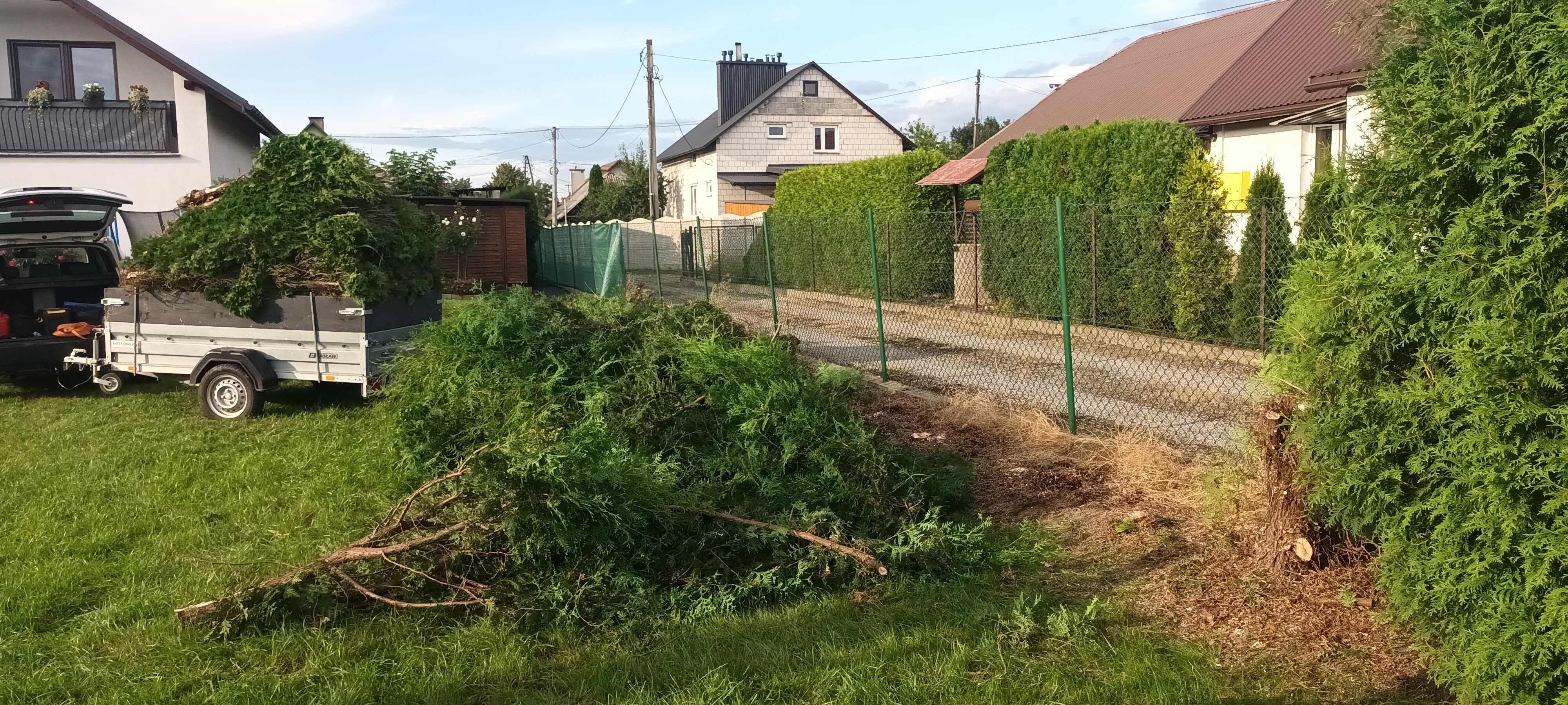 Frezowanie karczowanie  pni i korzeni,wycinka tui i małych drzew
