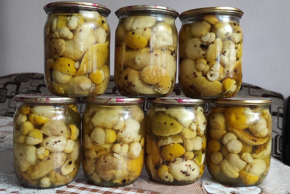 Гриби білі сушені ,мариновані,свіжі