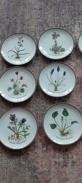 Rosenthal " Z miłości do natury" 12 talerzy