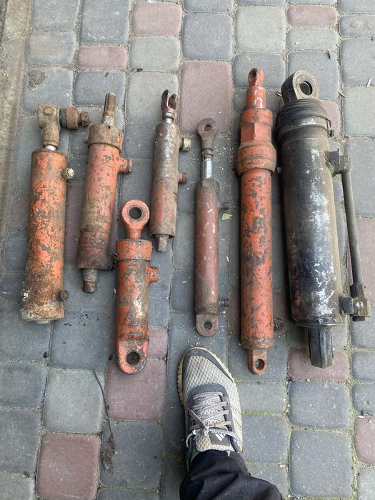 Гидроцелидри разные