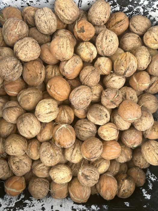 1 kg 10zl Orzechy włoskie małe